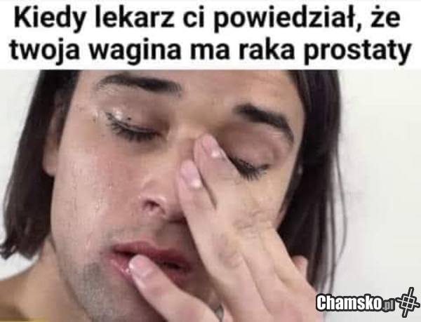 Wynik badań