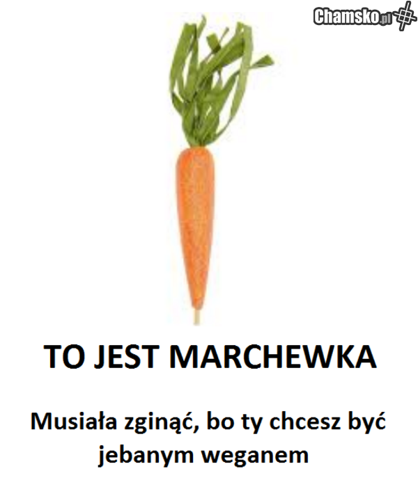 ty huju
