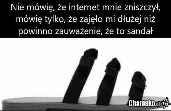 Co widzisz?