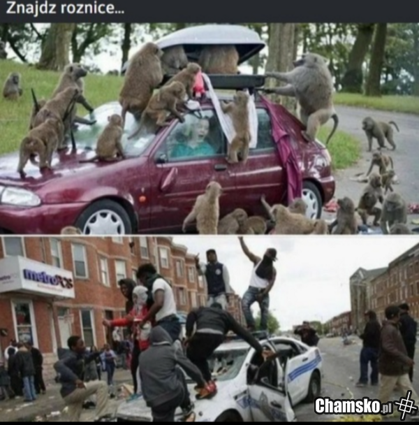 Znajdź różnice