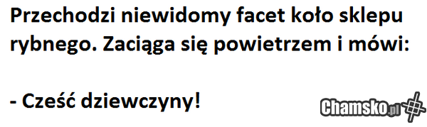 twoja stara sra do gara