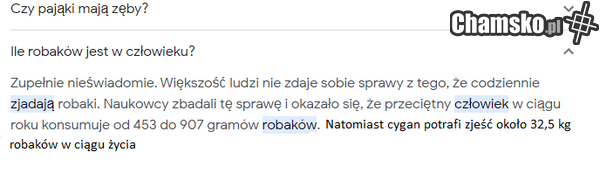 podpowiedzi google