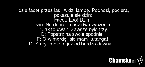 Idzie facet przez las i widzi lampę. Podnosi, pociera, pokazuje się dżin: Facet: Łoo! Dżin! Dżin: No dobra, masz dwa życzenia. F: Jak to dwa?! Zawsze było trzy. D: Popatrz na swoje spodnie. F: O w mordę, ale mam kutanga! D: Stary, robię to już od bardzo dawna...