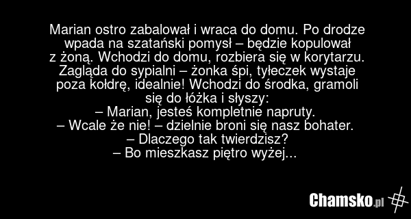 Marian ostro zabalował i wraca do domu. Po drodze wpada na szatański pomysł – będzie kopulował z żoną. Wchodzi do domu, rozbiera się w korytarzu. Zagląda do sypialni – żonka śpi, tyłeczek wystaje poza kołdrę, idealnie! Wchodzi do środka, gramoli się do łóżka i słyszy: – Marian, jesteś kompletnie na…