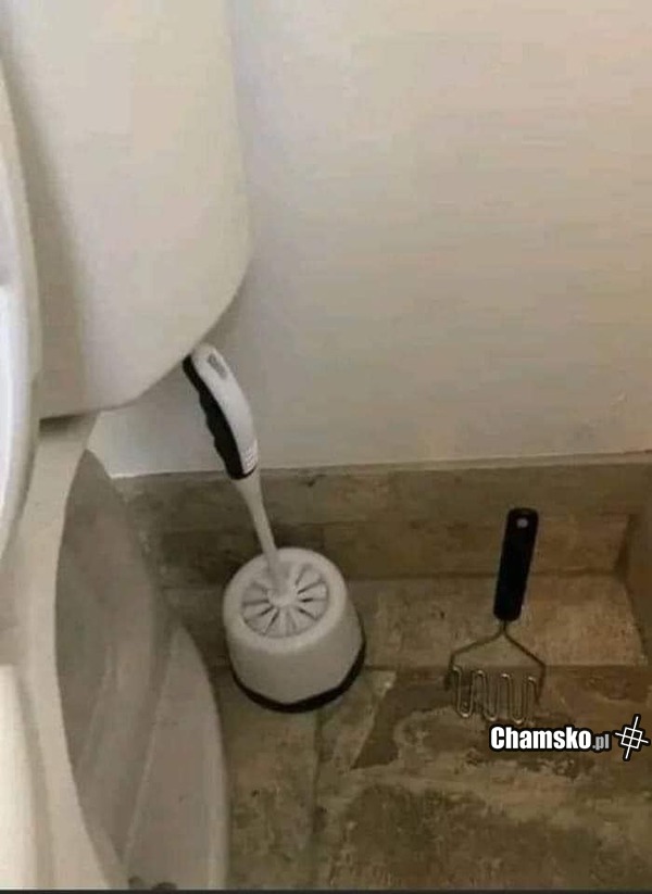 WTF?