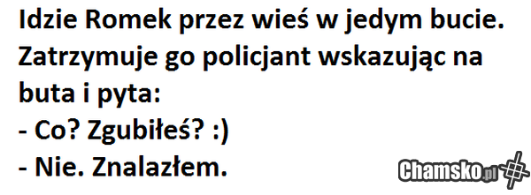 Przygody Romka z Łomży