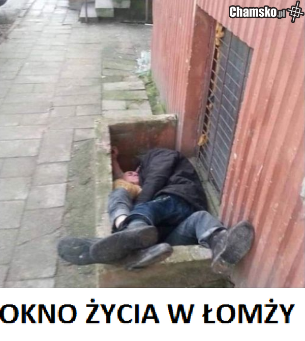 w łomży