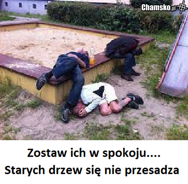 twoi ojcowie