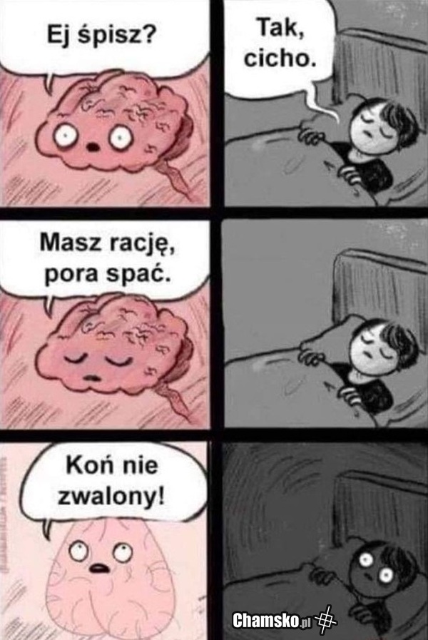 Śpisz?