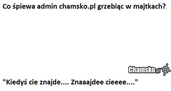 admin chamsko.pl