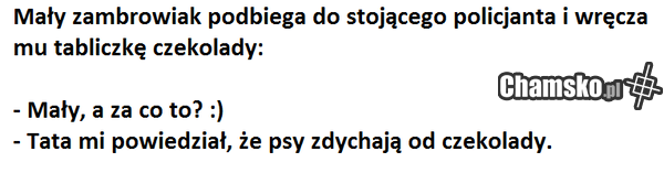 Przygody Wieśka z Zambrowa