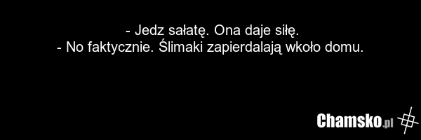 - Jedz sałatę. Ona daje siłę. - No faktycznie. Ślimaki zapierdalają wkoło domu.