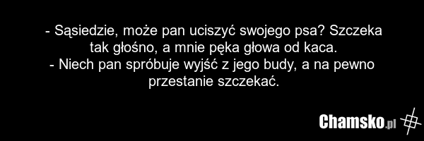 - Sąsiedzie, może pan uciszyć swojego psa? Szczeka tak głośno, a mnie pęka głowa od kaca. - Niech pan spróbuje wyjść z jego budy, a na pewno przestanie szczekać.