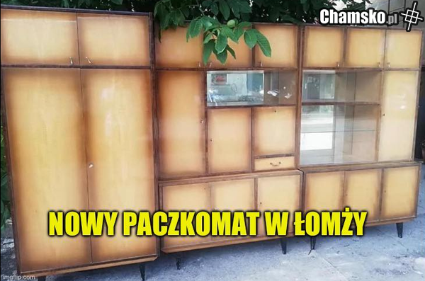 stara kurwa