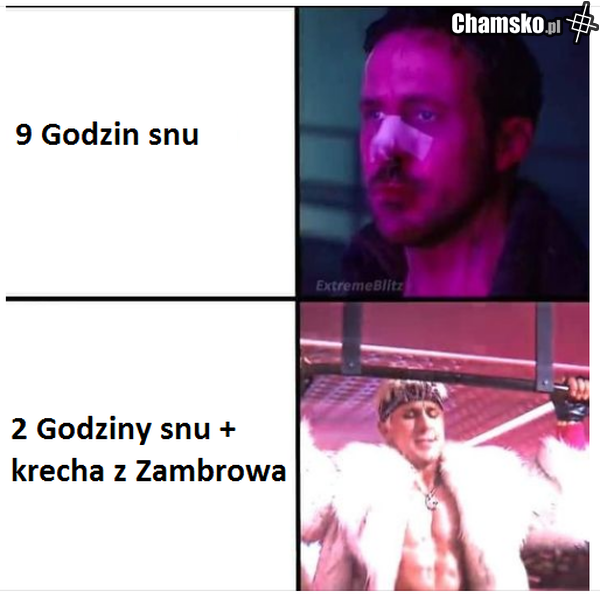 Zambrowskie ścierwo