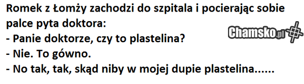 Przygody Romka z Łomży
