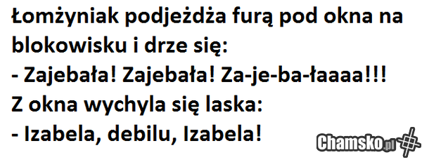 łomżyńskie IQ