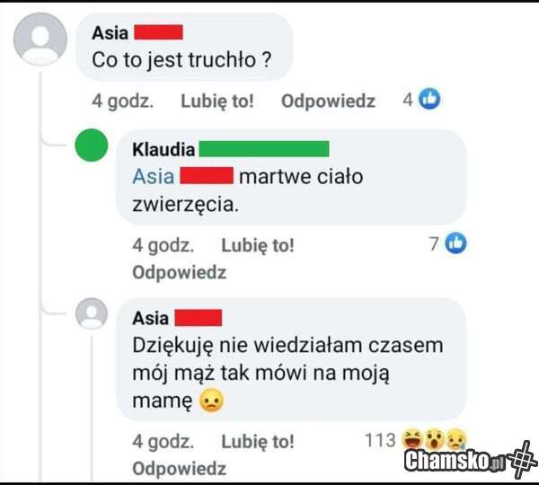Truchło