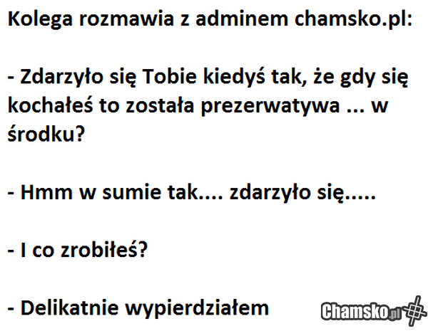 admin chamsko.pl