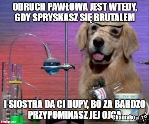 Odruch