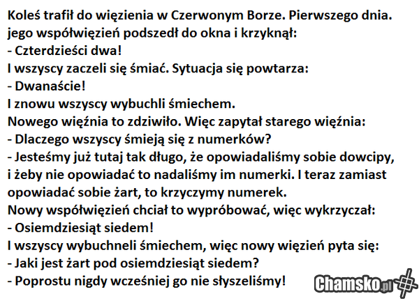 ZK Czerwony Bór
