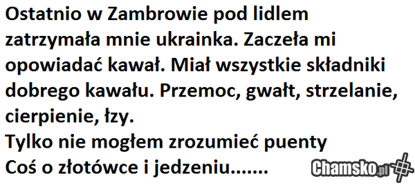 w Zambrowie