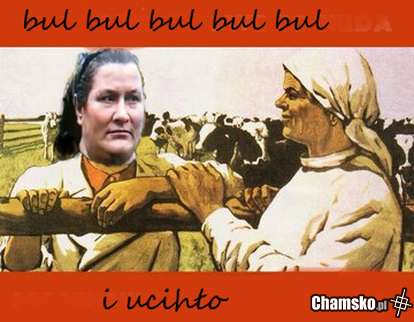 ucichło