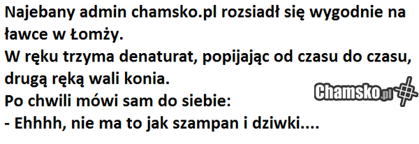 admin chamsko.pl