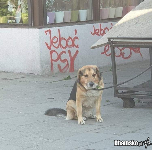 Jebać...