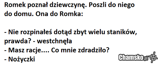 Przygody Romka z Łomży