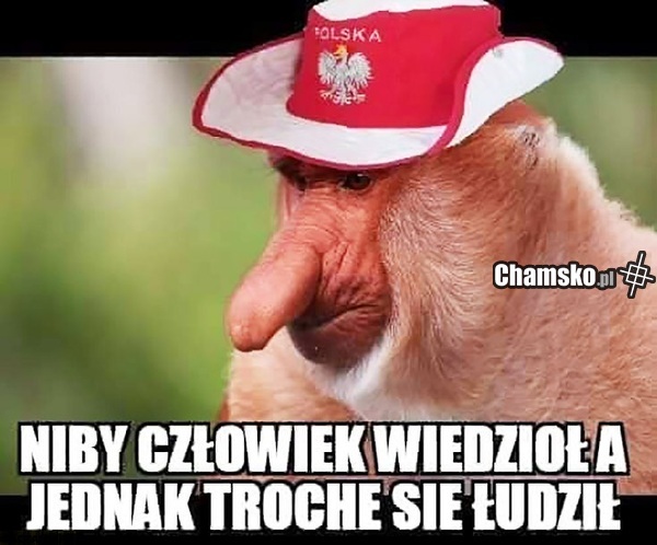 No to tradycyjnie