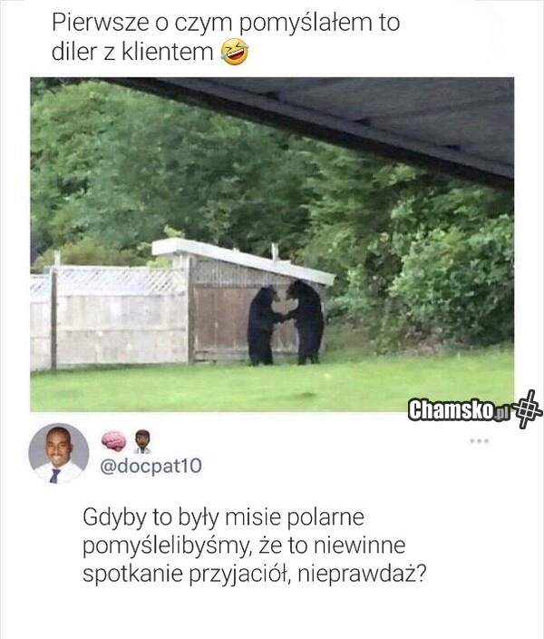 Misie