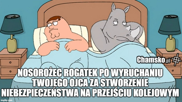 Nosorożec