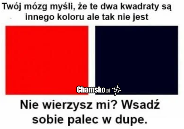 Kwadraty