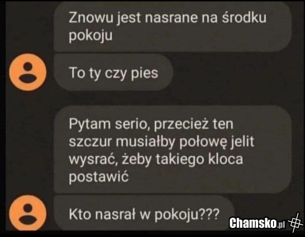Kupa