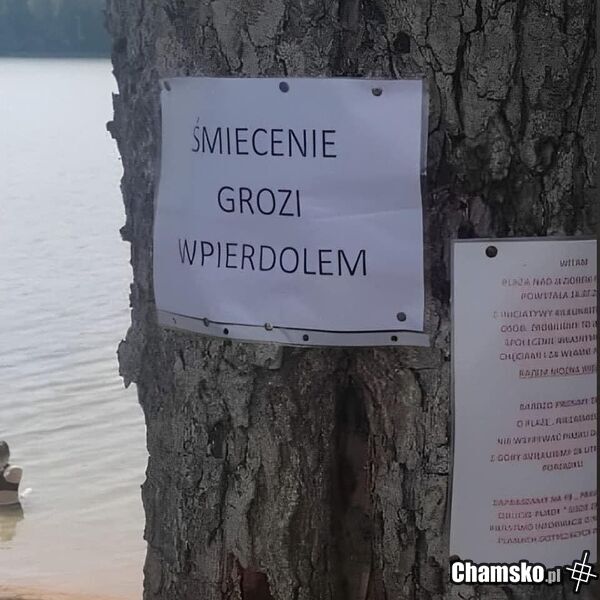 Śmiecenie