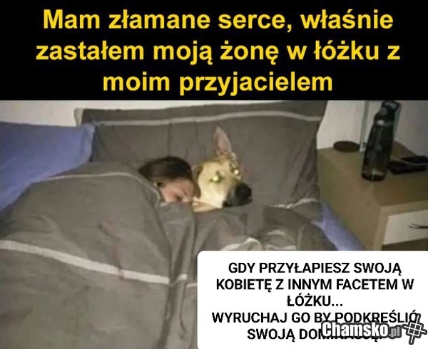 Admin chamsko