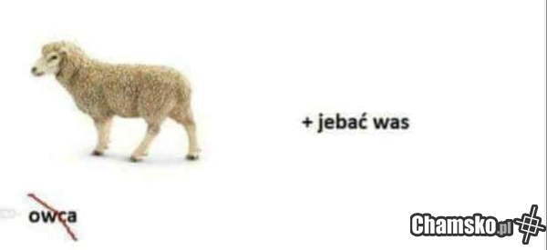 Rebus