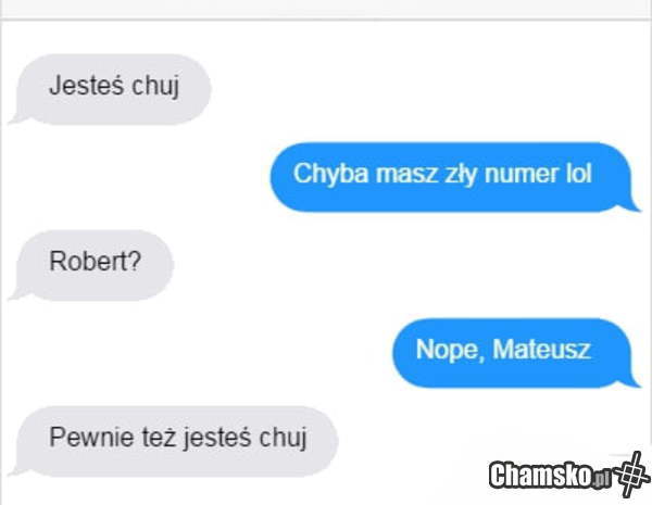 Pomyłka