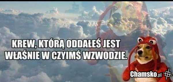 Oddawanie krwi