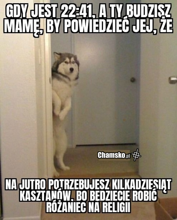 Różaniec