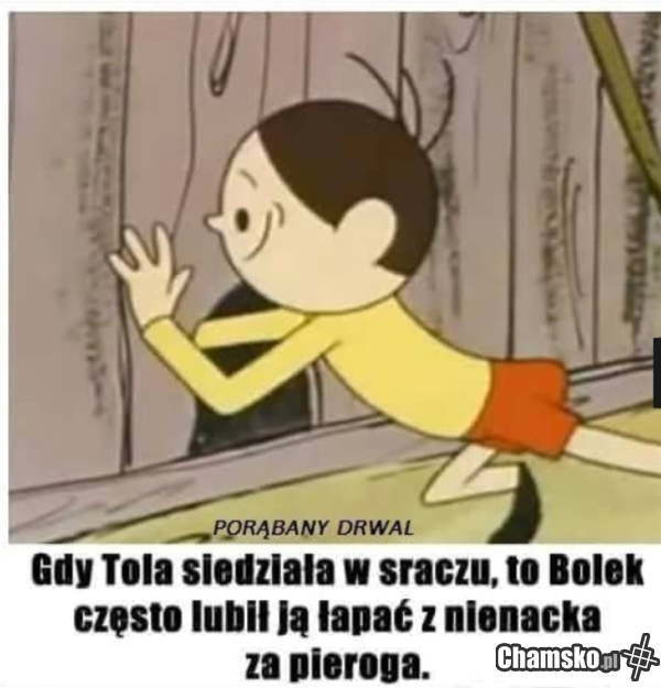 Bolek