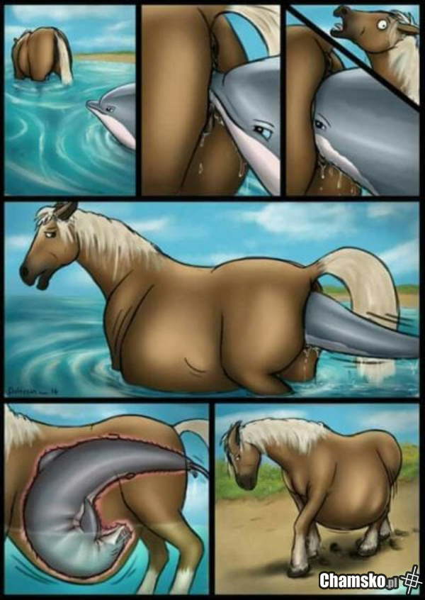 Delfiny