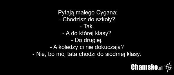 Pytają małego Cygana: - Chodzisz do szkoły? - Tak. - A do której klasy? - Do drugiej. - A koledzy ci nie dokuczają? - Nie, bo mój tata chodzi do siódmej klasy.