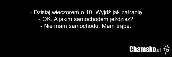 - Dzisiaj wieczorem o 10. Wyjdź jak zatrąbię. - OK. A jakim samochodem jeździsz? - Nie mam samochodu. Mam trąbę.
