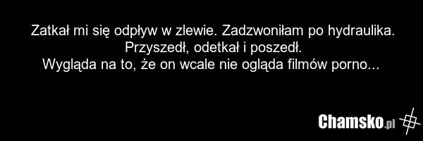 Zatkał mi się odpływ w zlewie. Zadzwoniłam po hydraulika. Przyszedł, odetkał i poszedł. Wygląda na to, że on wcale nie ogląda filmów porno...