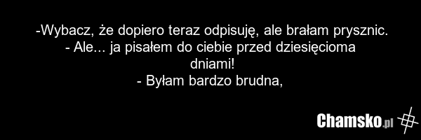 -Wybacz, że dopiero teraz odpisuję, ale brałam prysznic. - Ale... ja pisałem do ciebie przed dziesięcioma dniami! - Byłam bardzo brudna,