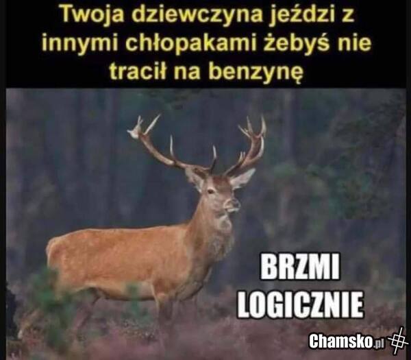 Podwózka