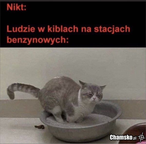 Kible