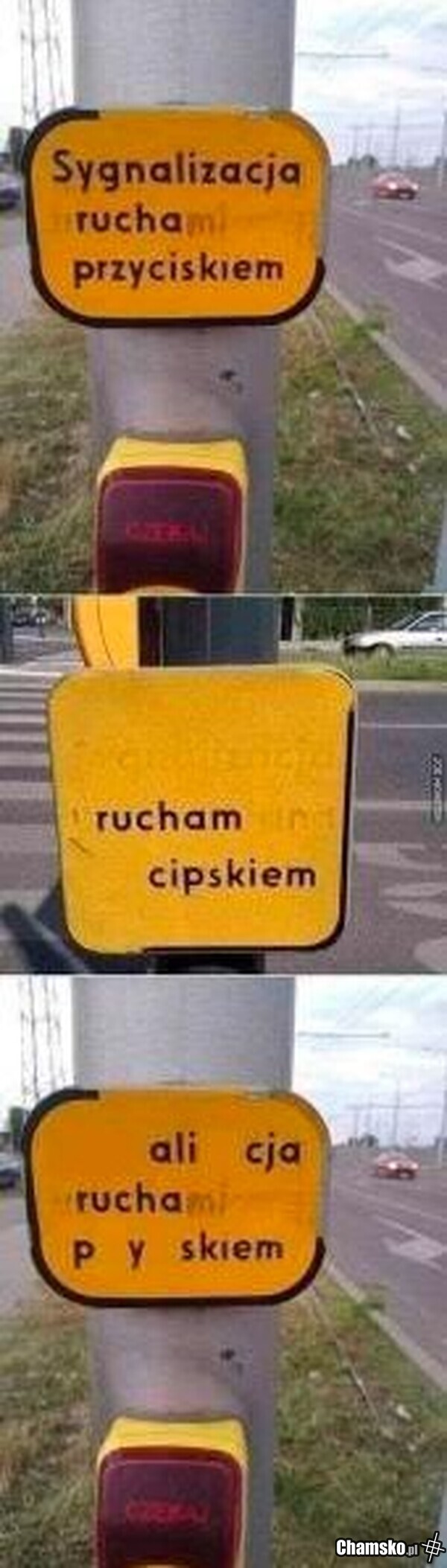 Co robi Alicja?